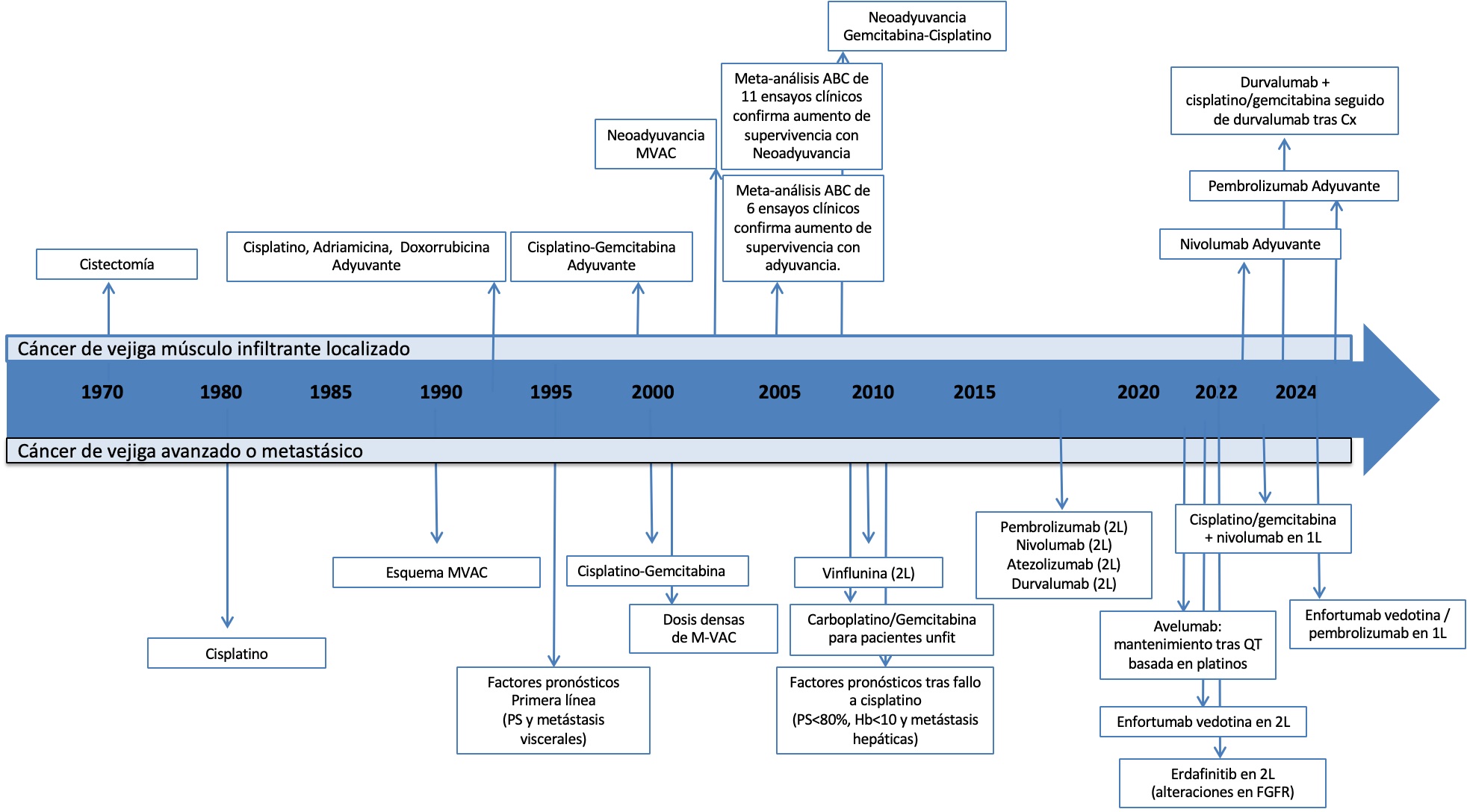 Avances_Cancer_Vejiga_2025