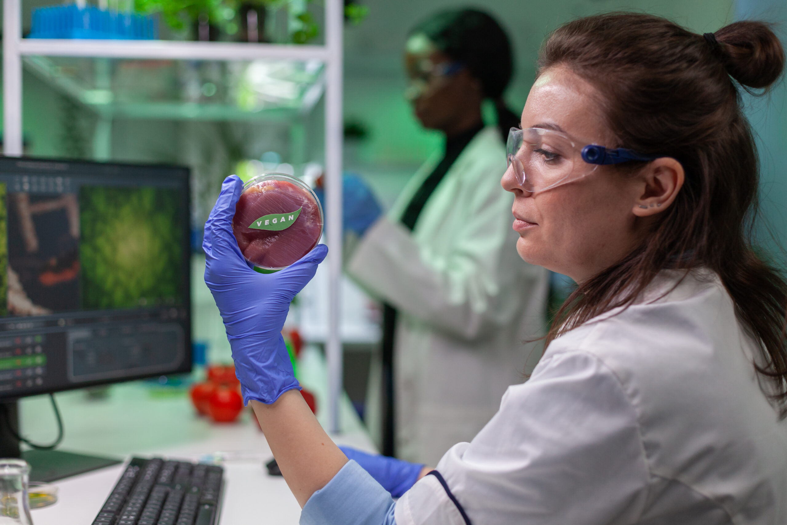 Biologist researcher holding in hands vegan beef meat sample