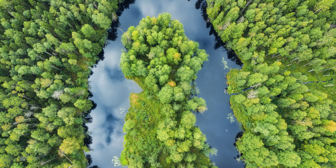 Aerial landscape