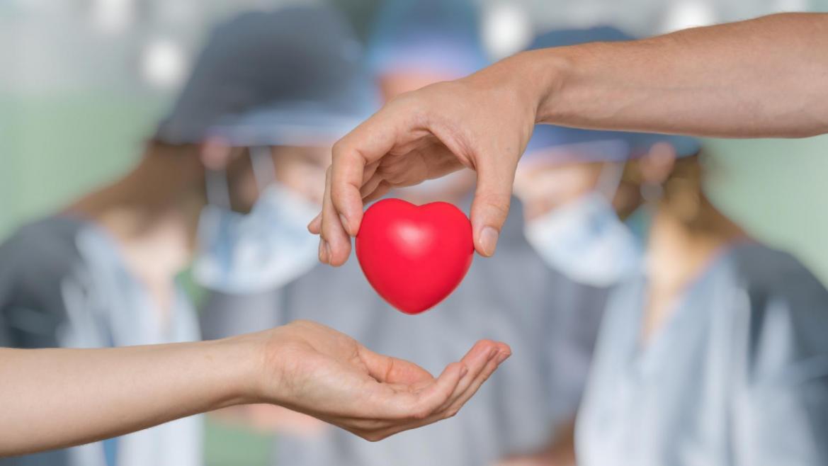 enfermedades_cardiovasculares_0
