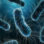 Análisis | La resistencia antimicrobiana: la pandemia silenciosa que amenaza a la medicina moderna