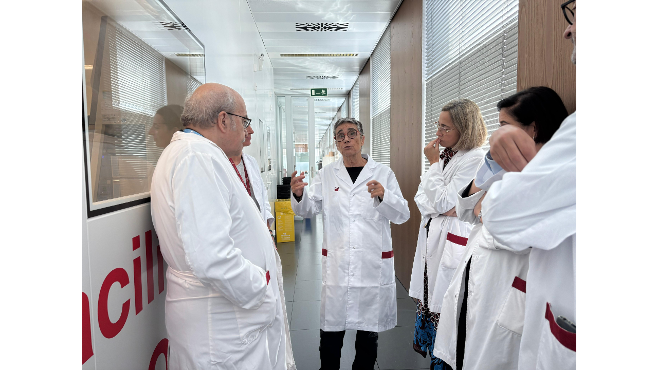 WhatsApp_Image_2025-10-29_at_11.48.15_LUfPgNe