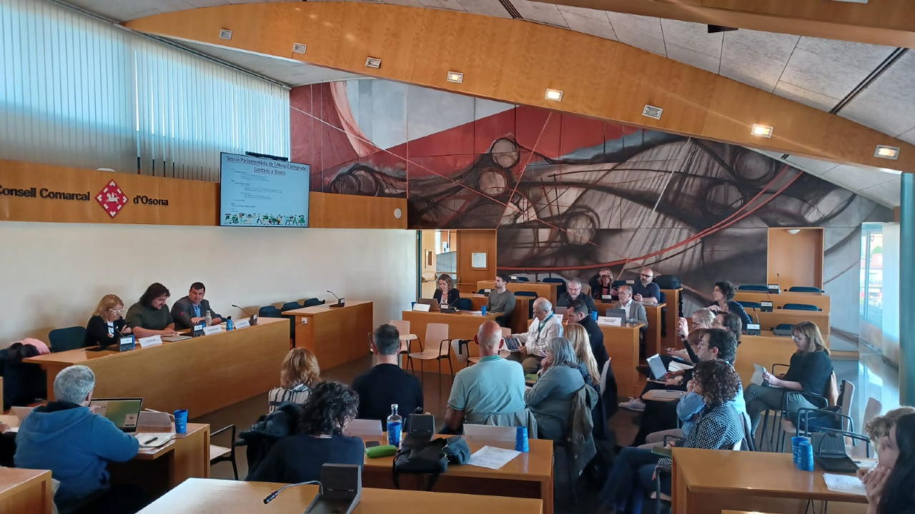 sessi_de_treball_portaveus_parlamentaris_atenci_integrada_1_XzvL1Jr