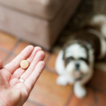 Los farmacéuticos piden que se cumpla la ley que les habilita para ser los únicos en la dispensación de los medicamentos veterinarios