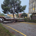 Andalucía cifra en 14 millones de euros los daños en los centros sanitarios por el temporal