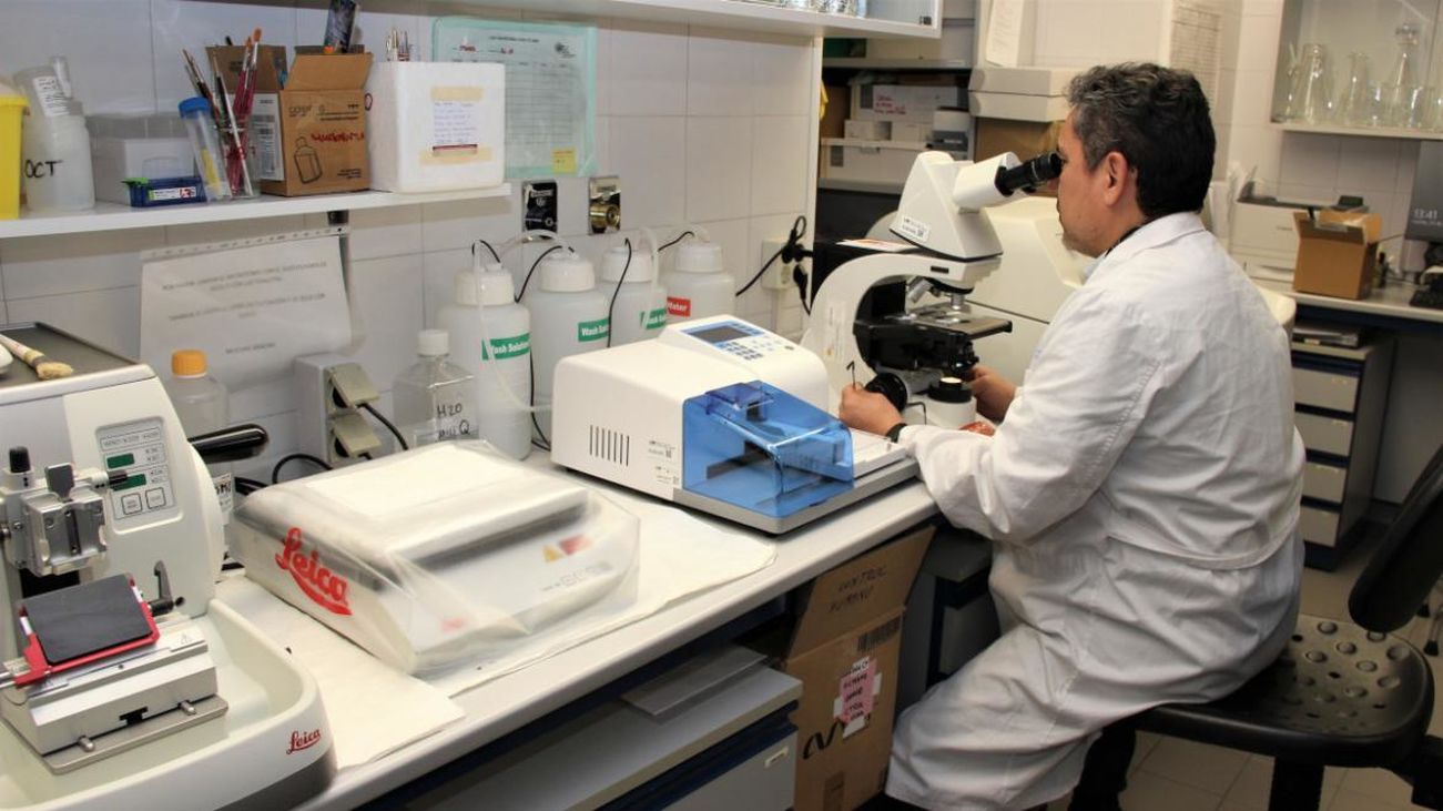 _2866823297_52138198_1302x731