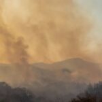 El COFM, las farmacias y la Consejería de Sanidad coordinan la atención farmacéutica a la población afectada por los incendios