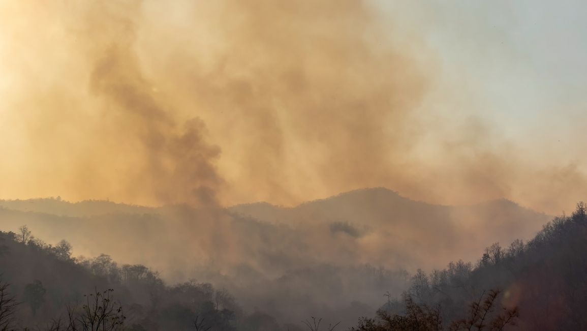 Humo y llamas de incendios forestales en la Comunidad de Madrid