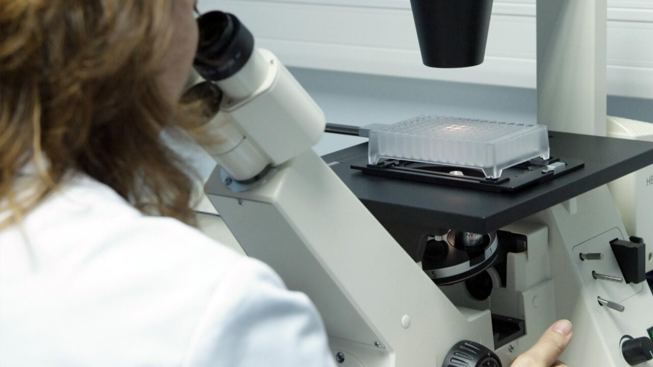 Investigadora observando a través de un microscopio en un laboratorio.